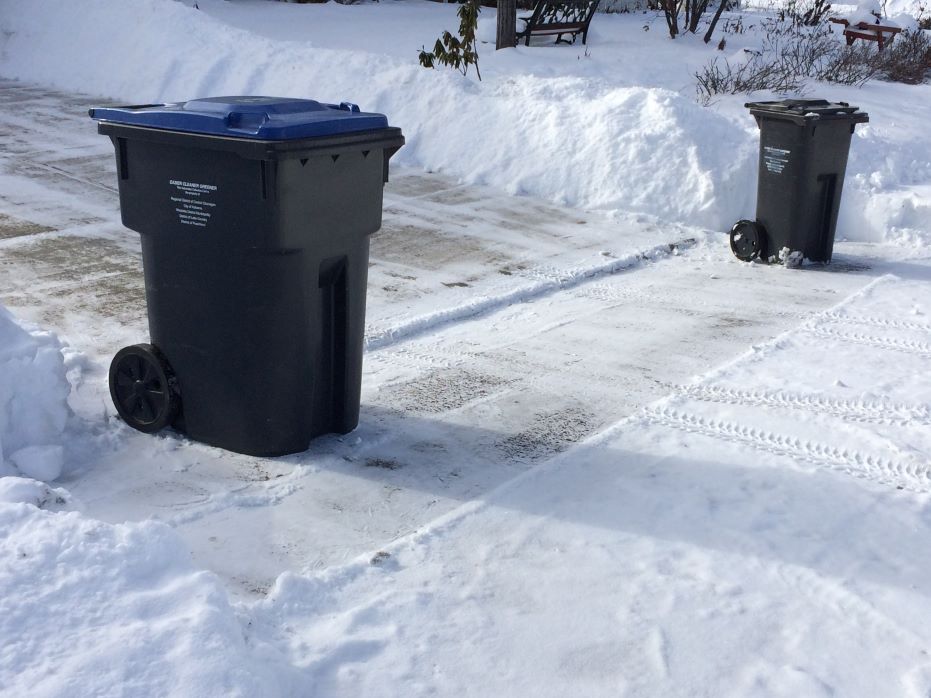 Two garbage bins positioned on a cleared driveway surrounded by snow.